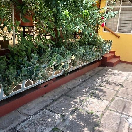 Habitaciones Betito Мазамитла Экстерьер фото