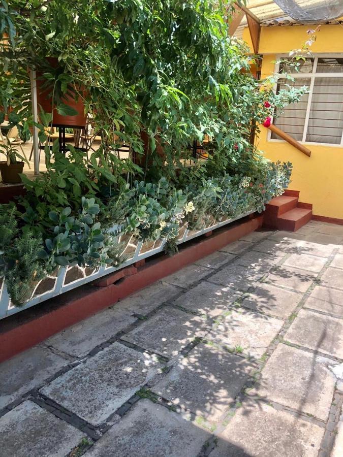 Habitaciones Betito Мазамитла Экстерьер фото