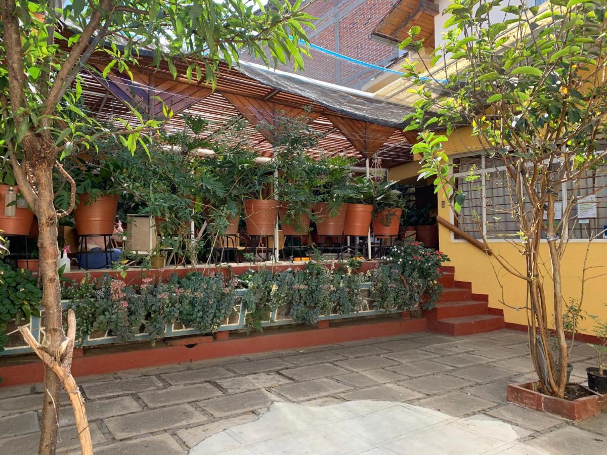 Habitaciones Betito Мазамитла Экстерьер фото