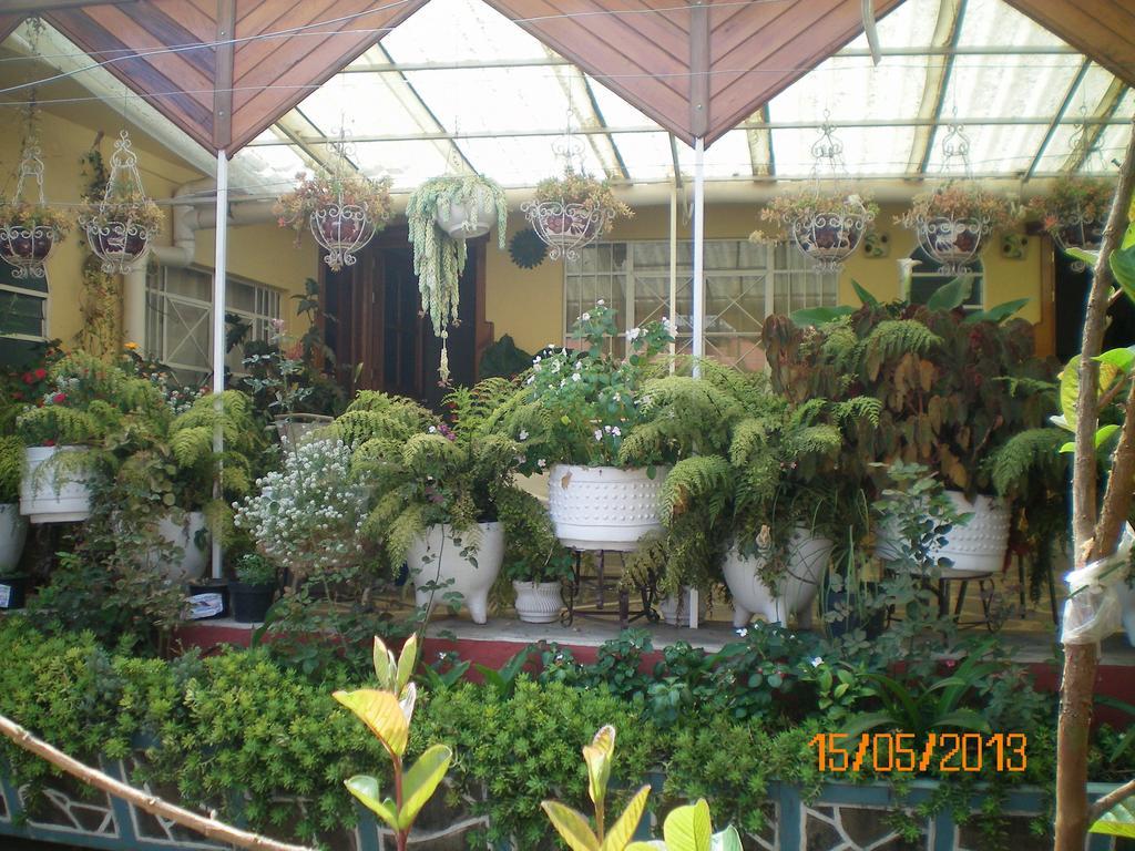 Habitaciones Betito Мазамитла Экстерьер фото